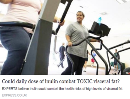 Could a daily dose of inulin combat Toxic visceral fat?